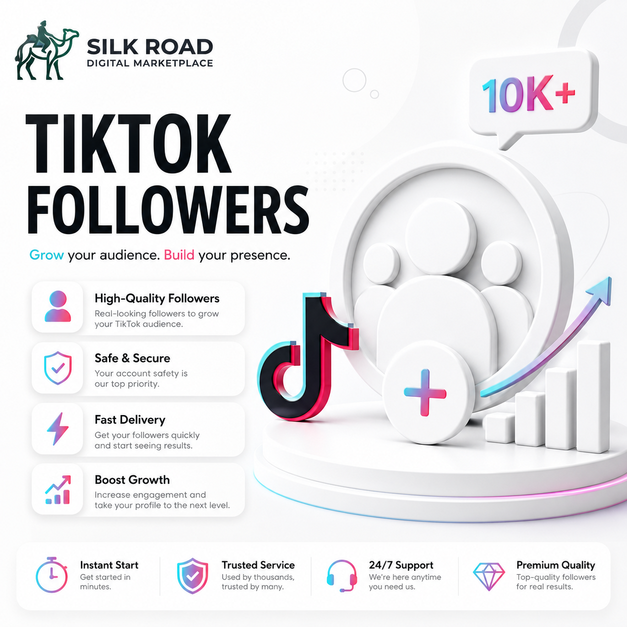 TikTok Audience Growth Support