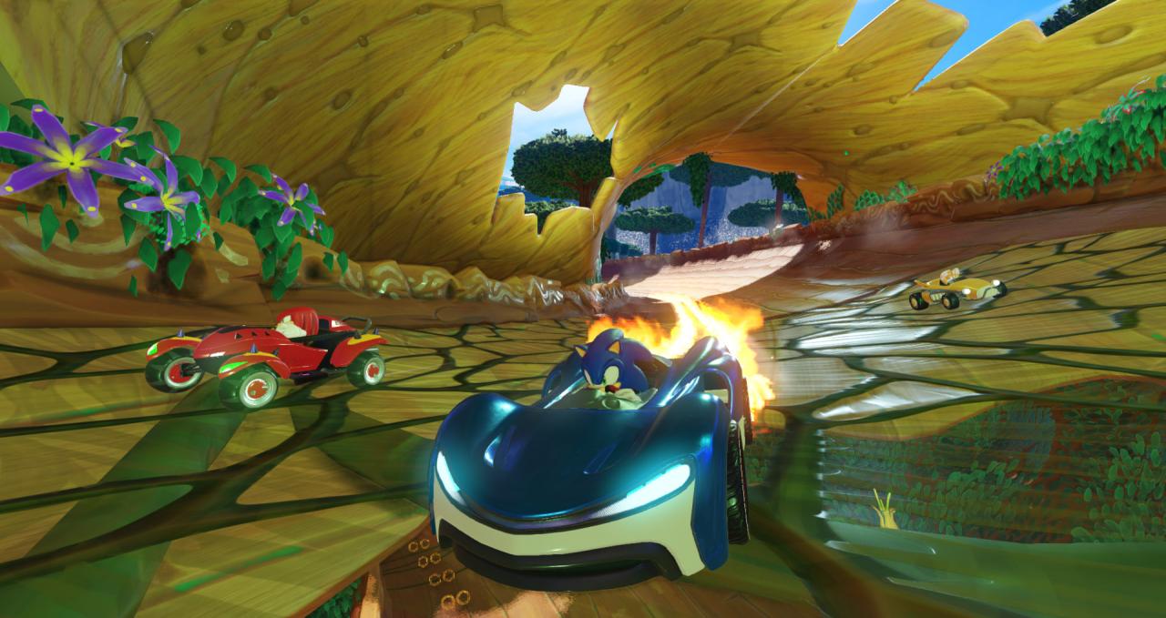 Team Sonic Racing US Steam CD Key